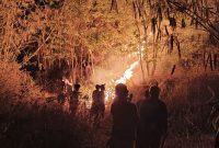 Petugas gabungan saat berupaya memadamkan api kebakaran di Gunung Margatapa di Kelurahan Cicurug, Kecamatan/Kabupaten Majalengka, Jawa Barat, Sabtu (12/9/2026) dini hari(Dok BPBD Majalengka)

