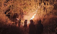Karhutla Jabar Makin Meluas, 325,87 Hektare Lahan Terbakar hingga September 2026