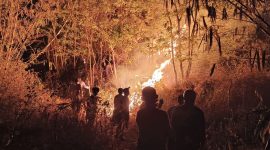 Petugas gabungan saat berupaya memadamkan api kebakaran di Gunung Margatapa di Kelurahan Cicurug, Kecamatan/Kabupaten Majalengka, Jawa Barat, Sabtu (12/9/2026) dini hari(Dok BPBD Majalengka)
