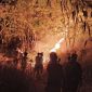 Petugas gabungan saat berupaya memadamkan api kebakaran di Gunung Margatapa di Kelurahan Cicurug, Kecamatan/Kabupaten Majalengka, Jawa Barat, Sabtu (12/9/2026) dini hari(Dok BPBD Majalengka)
