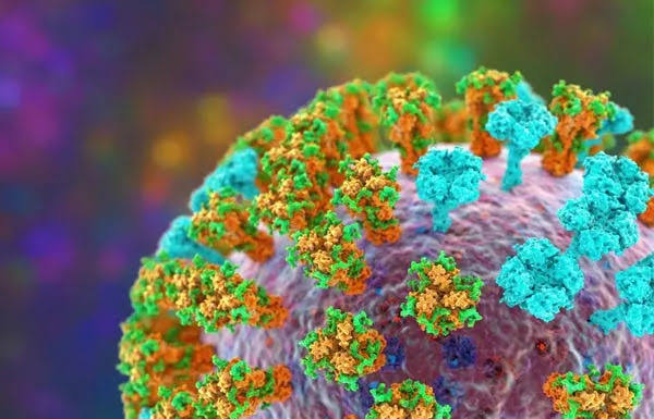 Ilustrasi Virus Flu