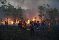 Ilustrasi Karhutla. Karhutla di Kalimantan Tengah makin mendekati permukiman di Kotawaringin Barat(Dok Istimewa/PMI Kotawaringin Barat)